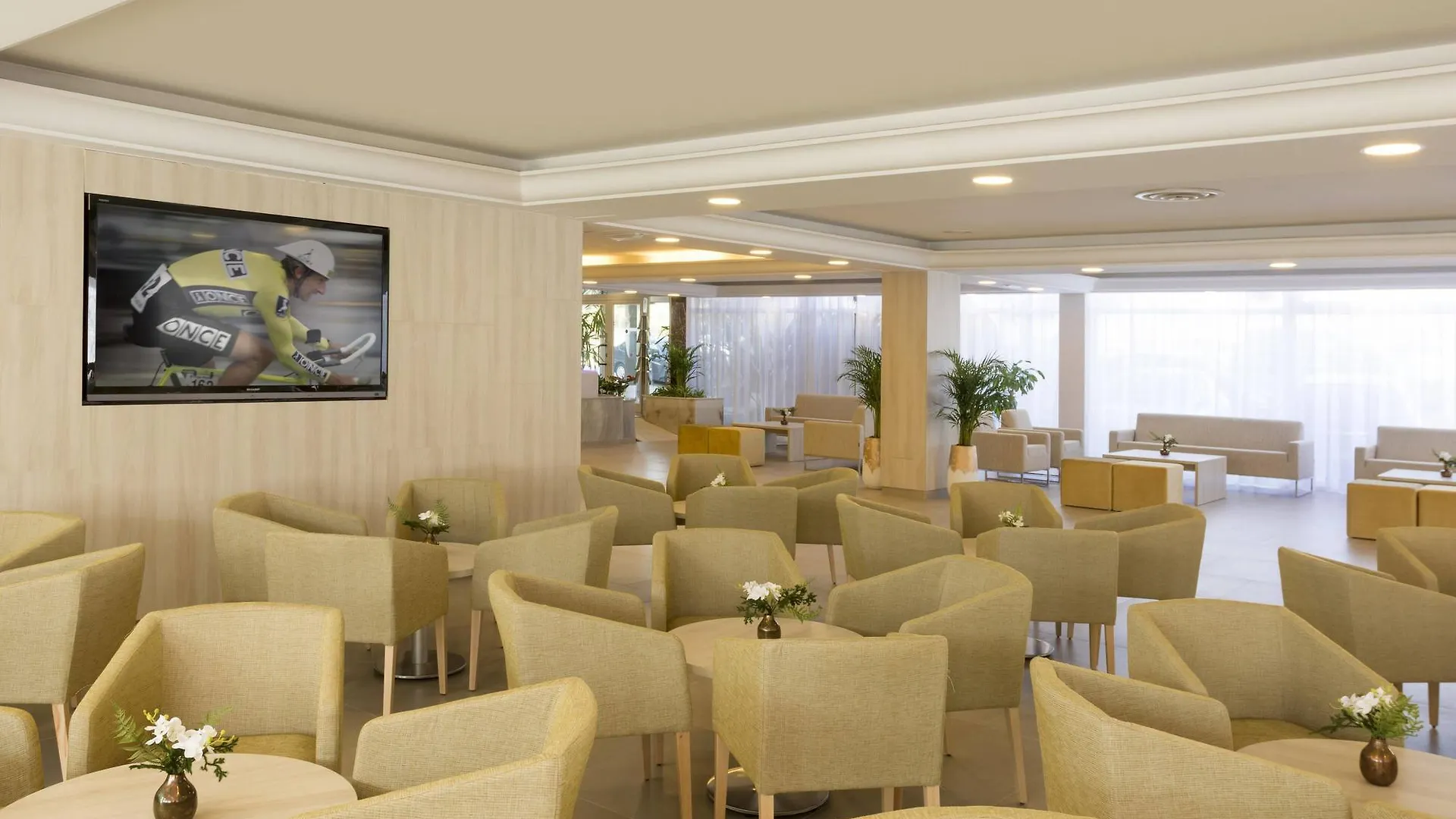 Hsm Don Juan Hotel Magaluf  3*, Magaluf (Mallorca)